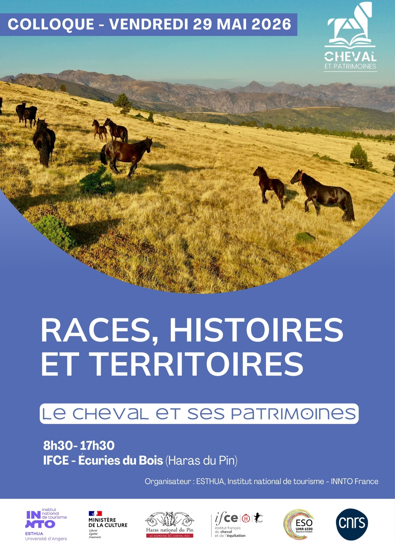 Affiche du colloque Cheval et patrimoines